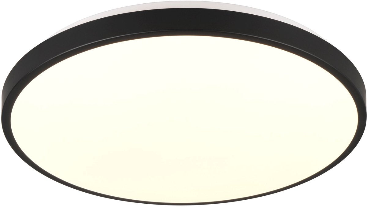 RL LIVE YOUR LIGHT Reality loody - plafondlamp - zwart - incl. 1x smd 22 w - bewegingssensor - schemersensor - niet geschikt voor externe dimmer - wand- en plafondmontage