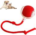 Intelligenter Rollender Haustierball